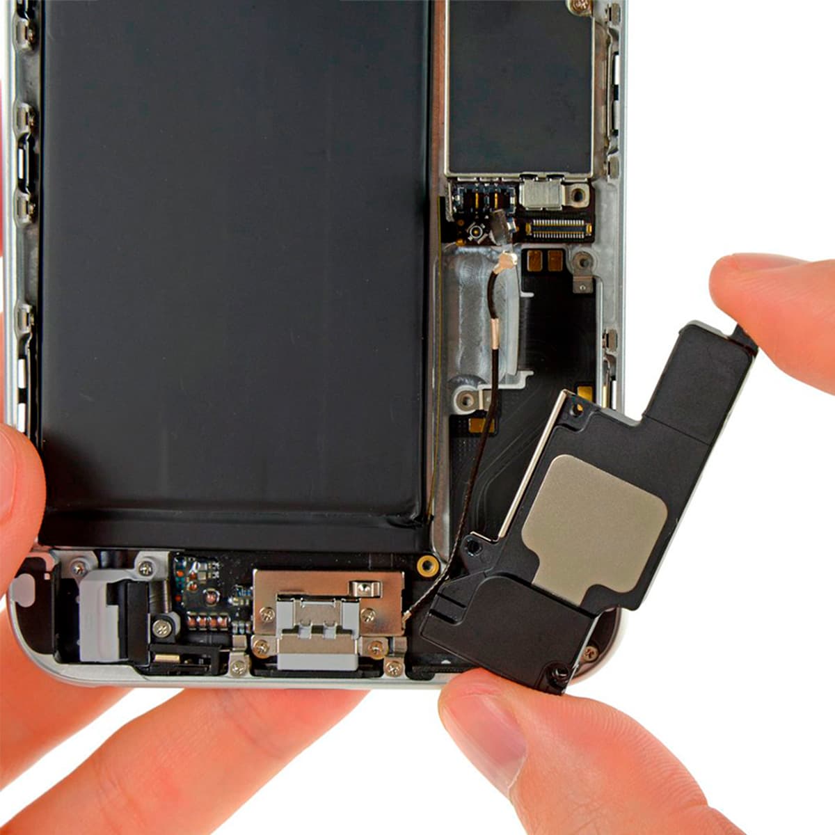 Parlante Altavoz iPhone 6 Plus