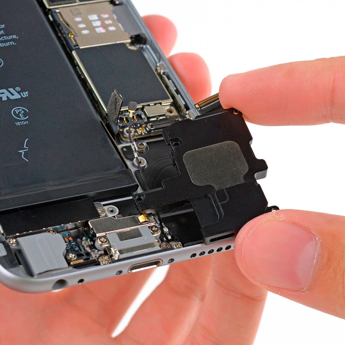 Parlante Altavoz iPhone 6