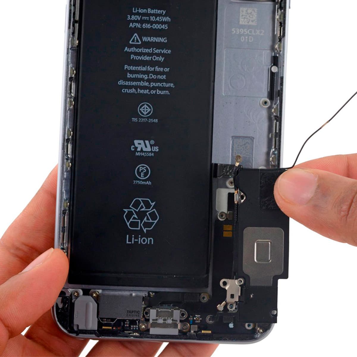 Parlante Altavoz iPhone 6S Plus 6 Plus