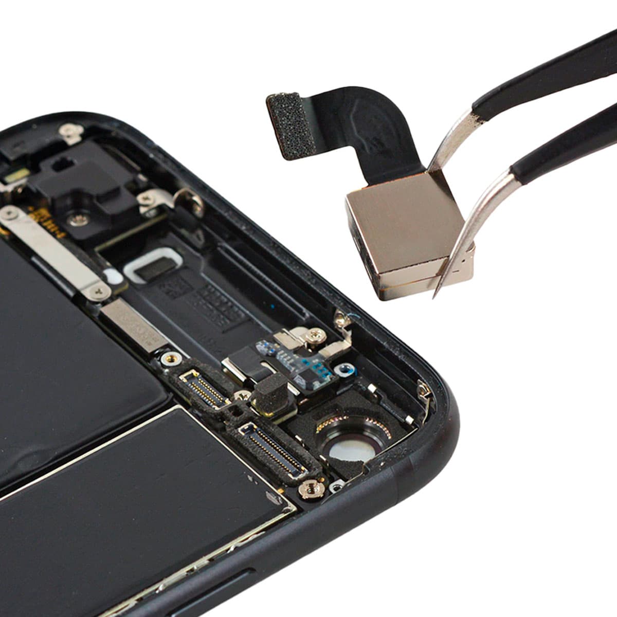 Camara Trasera iPhone 7