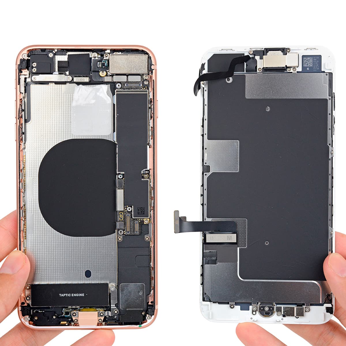 Modulo iPhone 8 Plus
