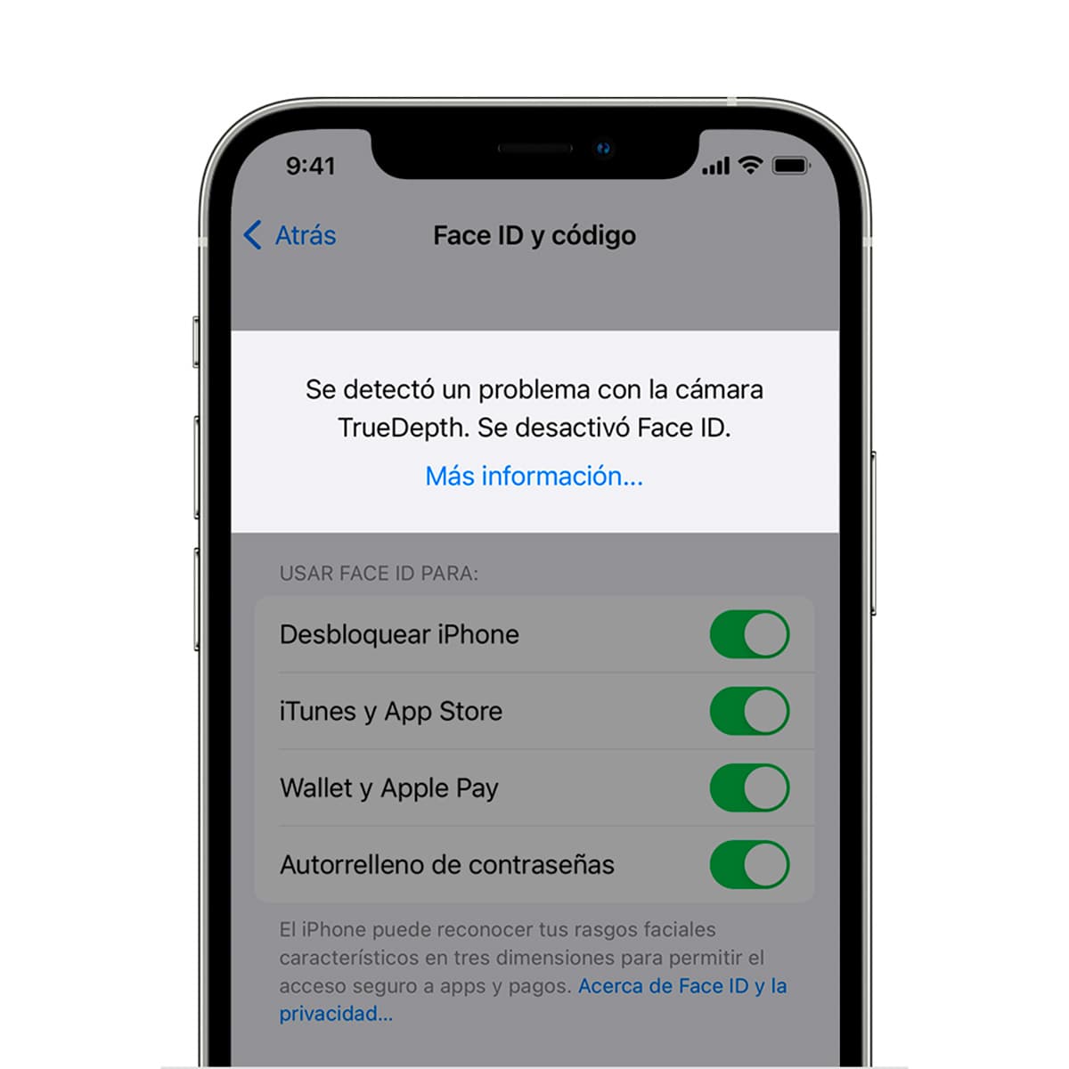 Recuperacion de Face ID iPhone 12 Mini