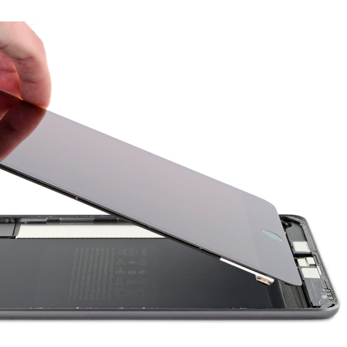 Modulo iPad Mini 5