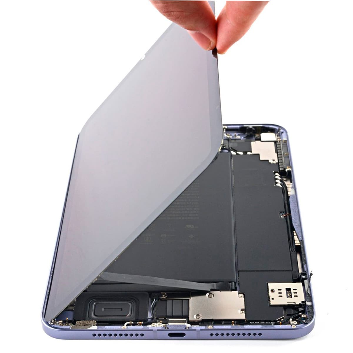 Modulo iPad Mini (6ta generacion) iPad Mini (6ta generación)
