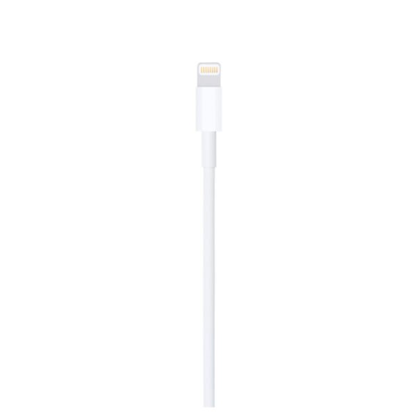 Cable Tipo C a Lightning 2 Metros Apple iPhone - Imagen 3